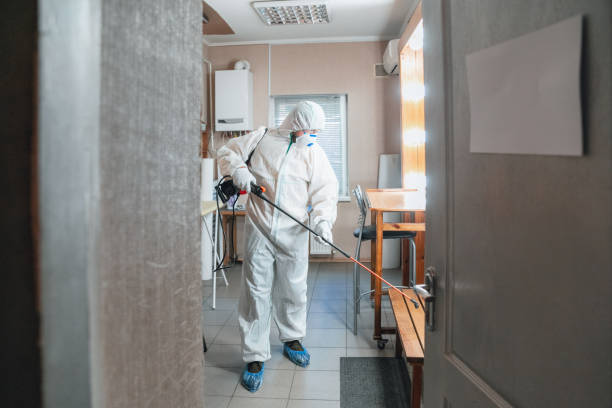 Best Emergency Mold Remediation  in Osceola Mills, PA