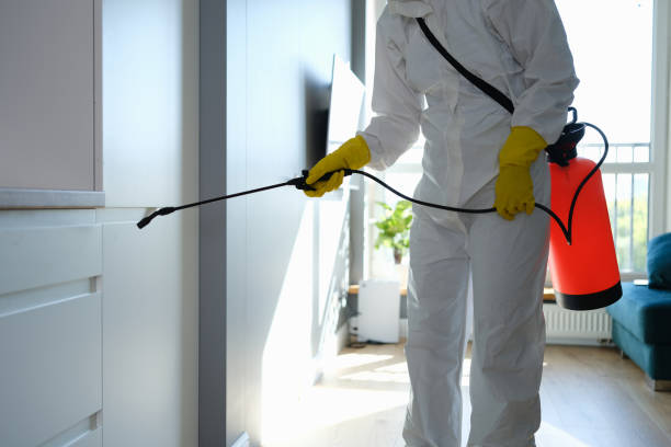 Best Attic Mold Removal  in Osceola Mills, PA