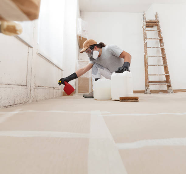 Best Commercial Mold Inspection  in Osceola Mills, PA