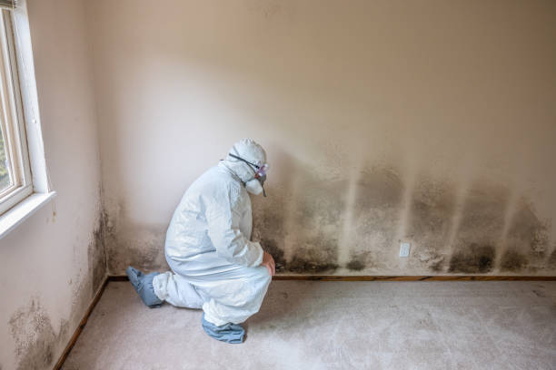 Forensic Mold Investigation in Osceola Mills, PA